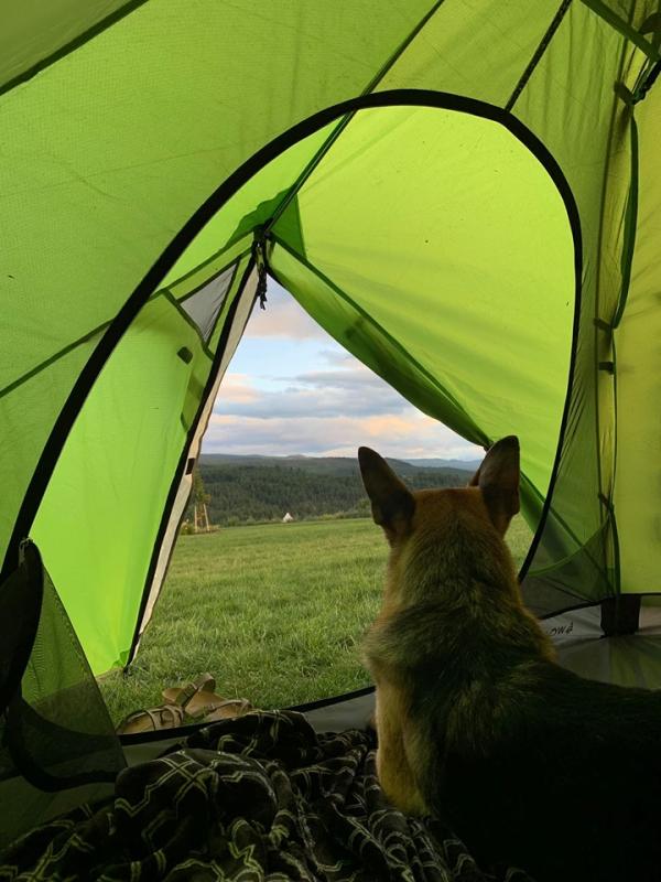 Photo - commentaire&nbsp;3.