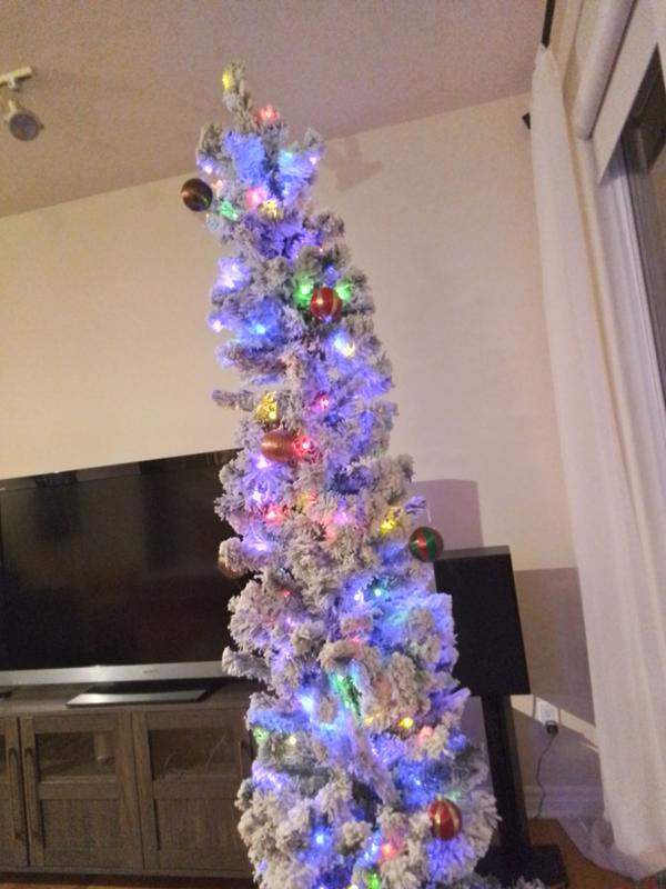 Photo - commentaire&nbsp;8.