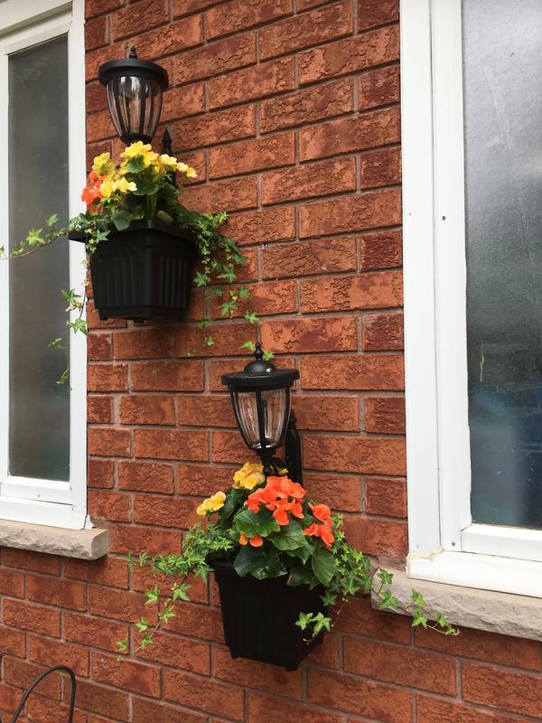 Mounted on garage wall along our front walkway