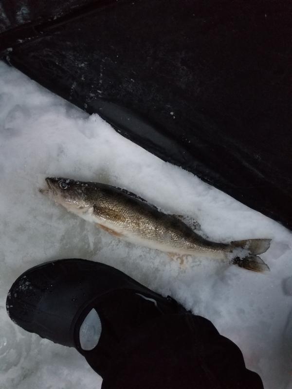 Photo - commentaire 4.