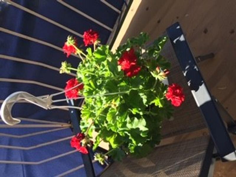 Merci Canadian Tire de rendre difficile  l'envoi de commentaire