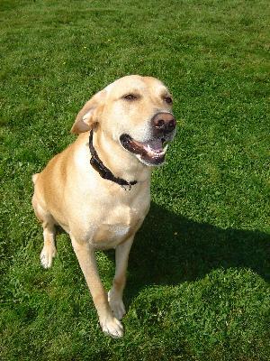 Photo - commentaire&nbsp;1.