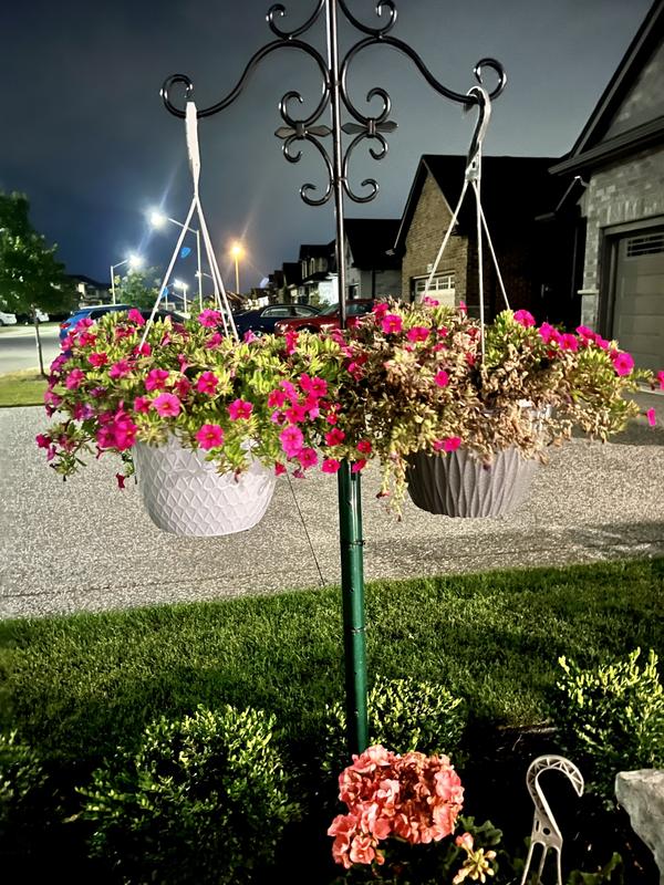 Full photo with plants