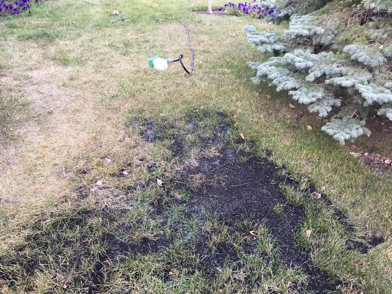 Photo - commentaire&nbsp;7.