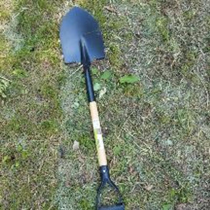 Photo - commentaire 1.