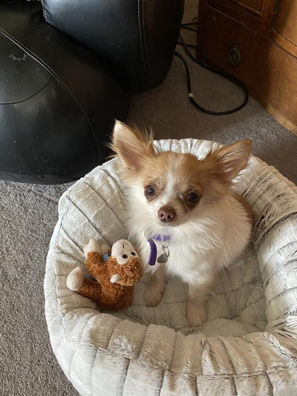 My bed I share with my toys