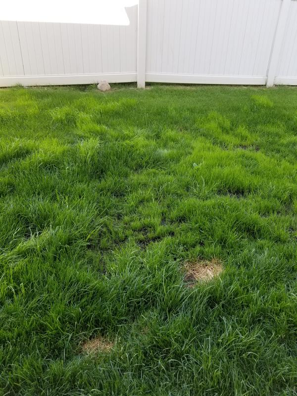 Photo - commentaire 1.