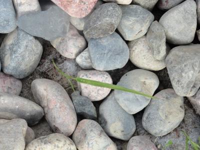 Photo - commentaire 7.