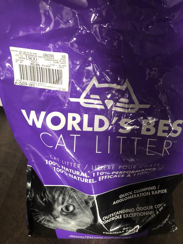 Photo - commentaire 2.