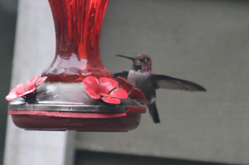 Hummer Waves Hello .