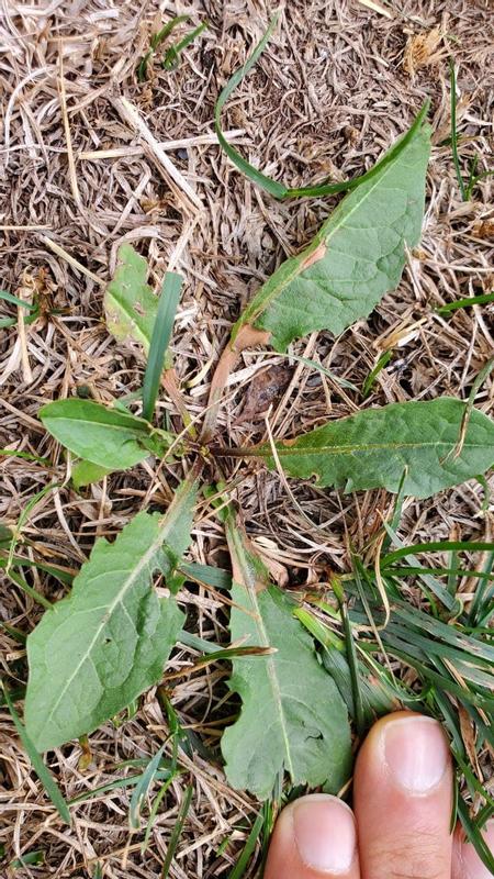 Photo - commentaire&nbsp;6.