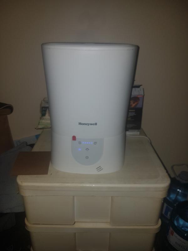 Photo - commentaire 7.