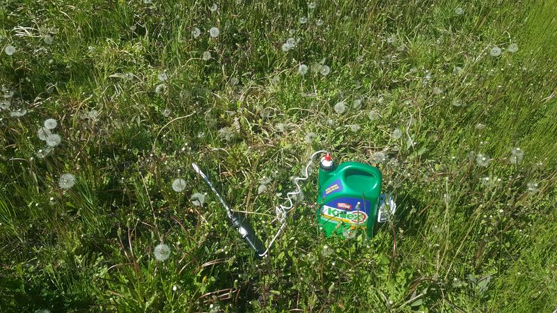 Photo - commentaire 1.