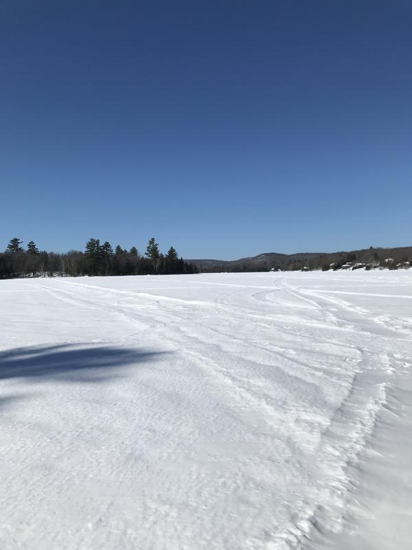 Gants utilisés lors d’un labo extérieur