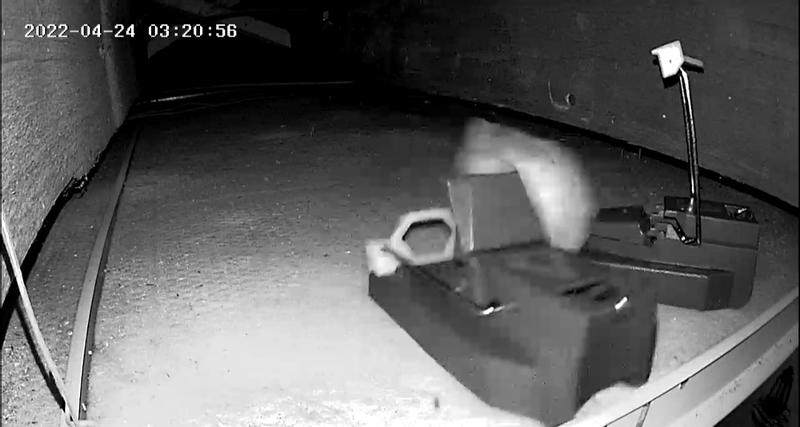 Photo - commentaire&nbsp;5.