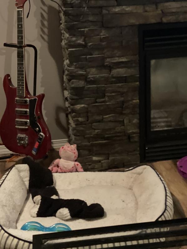 Photo - commentaire 4.