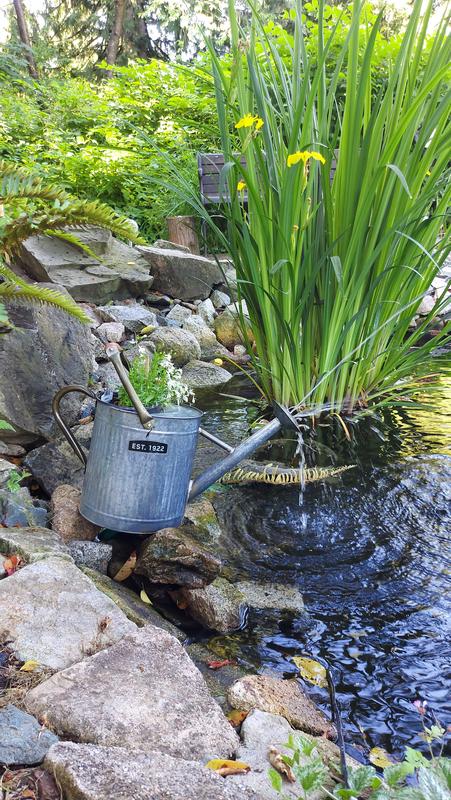 Old school on the pond