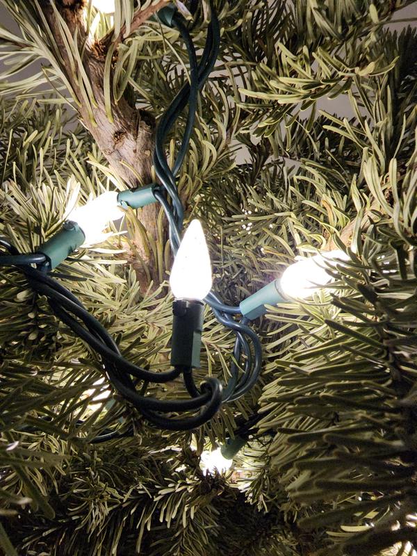 Photo - commentaire 6.