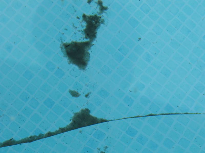 ça reviens tout le temps