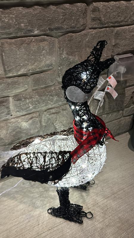 Photo - commentaire 4.