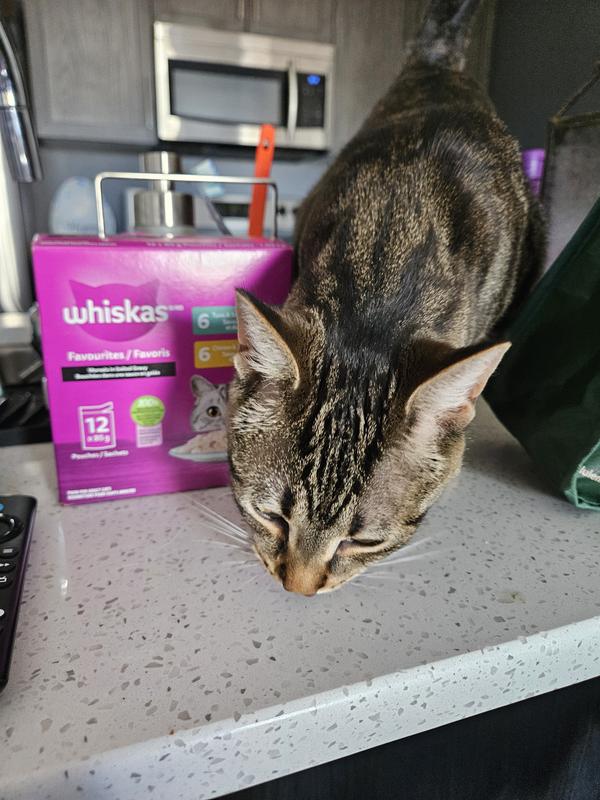 Photo - commentaire&nbsp;7.