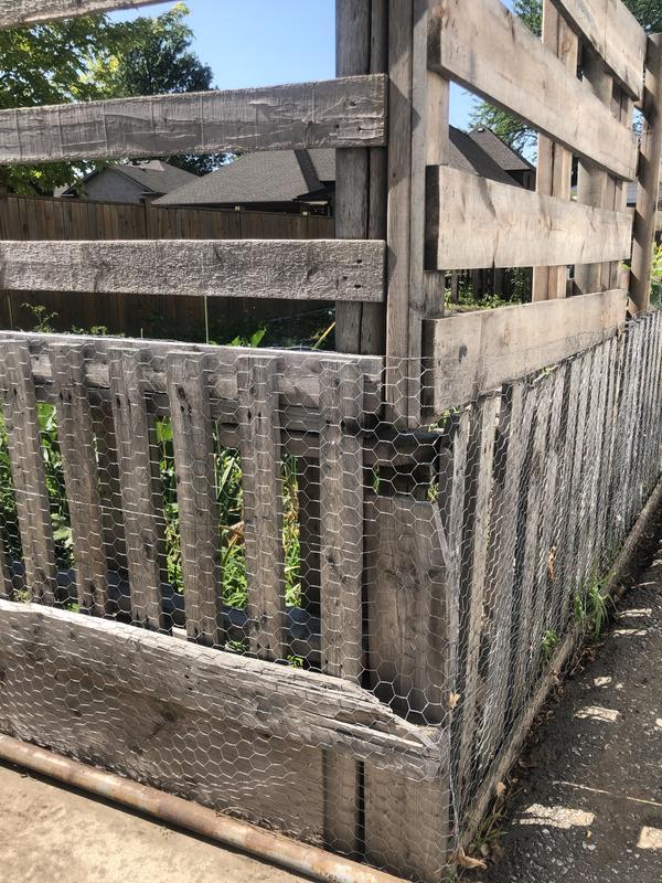 Photo - commentaire 4.