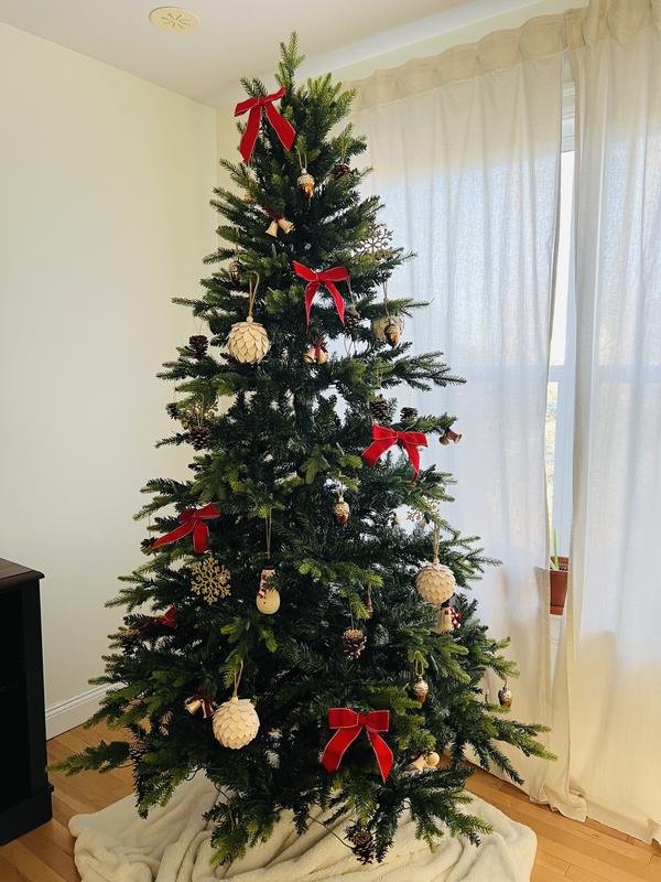 Photo - commentaire&nbsp;5.