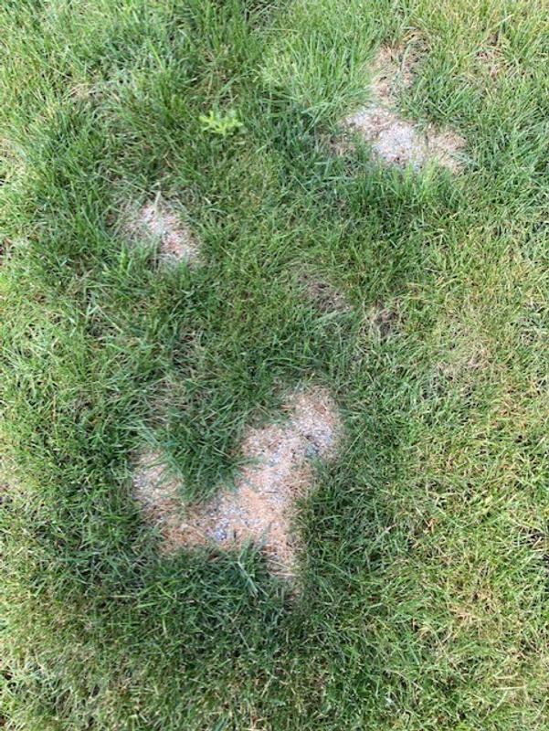 Photo - commentaire 4.