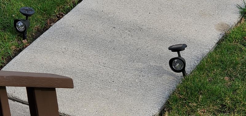 Pionted at porch steps