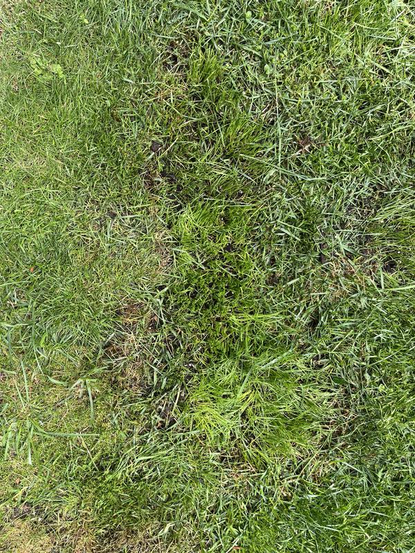 Photo - commentaire 5.