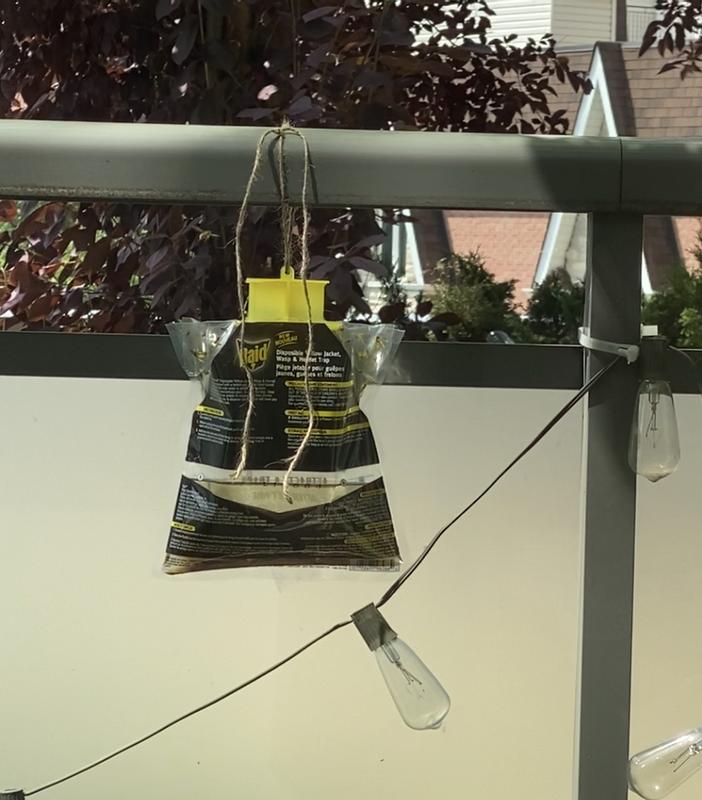 Photo - commentaire 1.