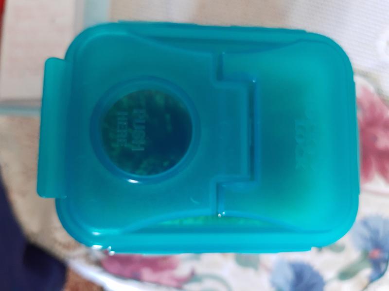 Lock Spaghetti container