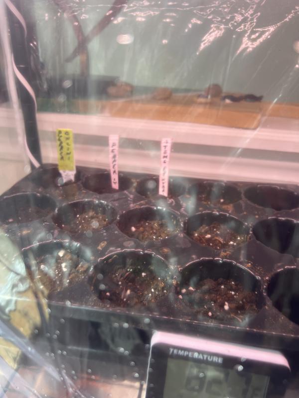 Photo - commentaire&nbsp;1.