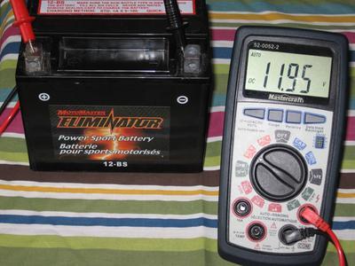 The picture shows the voltage shortly after being fully charged with a Bosch Genius charger.