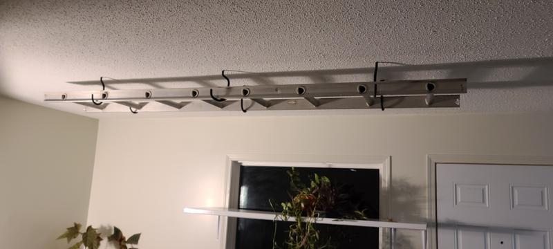 Ladder hung up for plants