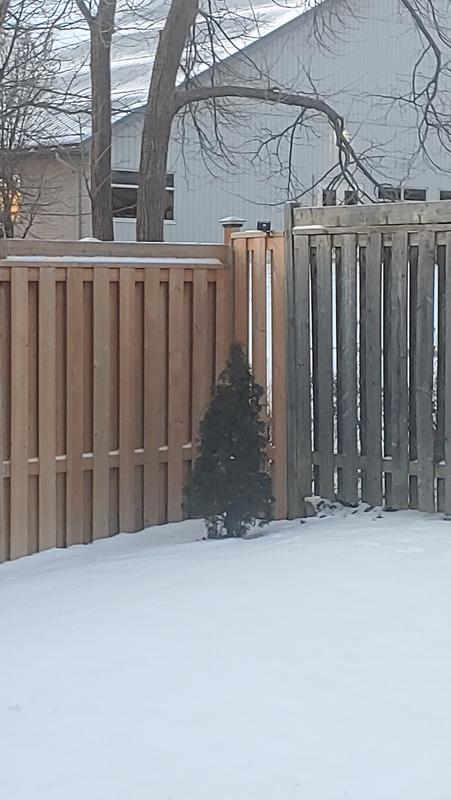 Wire long enough to put on top of fence