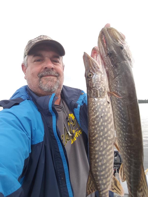 Double header on a pickerel rig. First time in my fishing career. Even though it was a 19 fish in one day trip. The rig held up to both fish aporox 8 pounds in total maybe 9