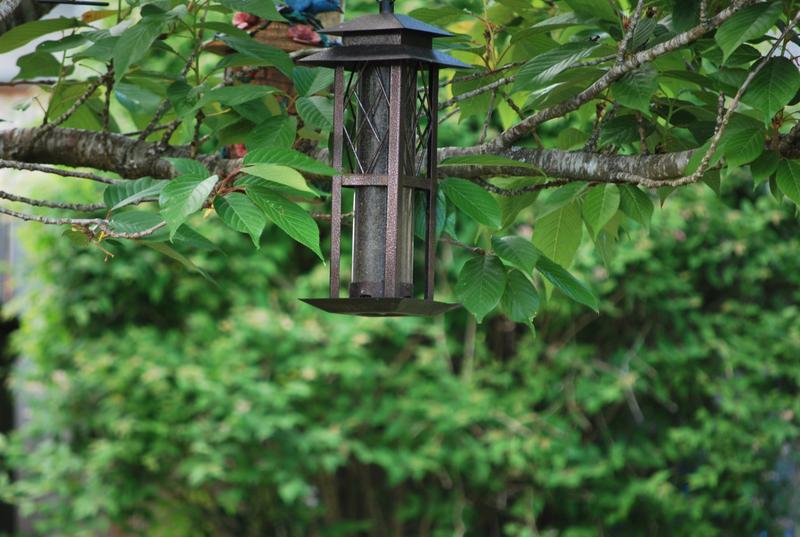 Photo - commentaire&nbsp;8.