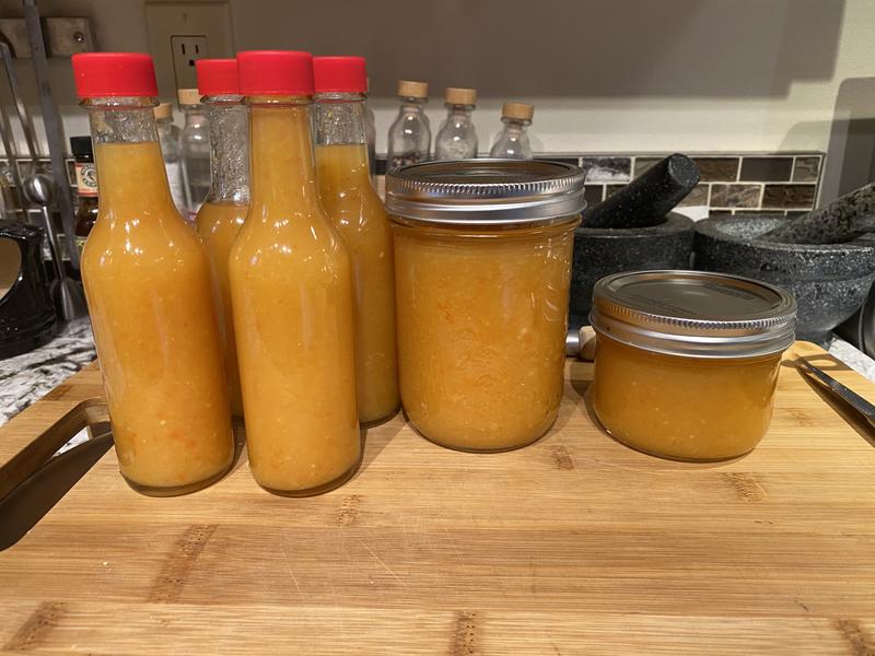 Fermented Golden Heat