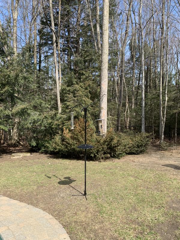 Photo - commentaire&nbsp;5.