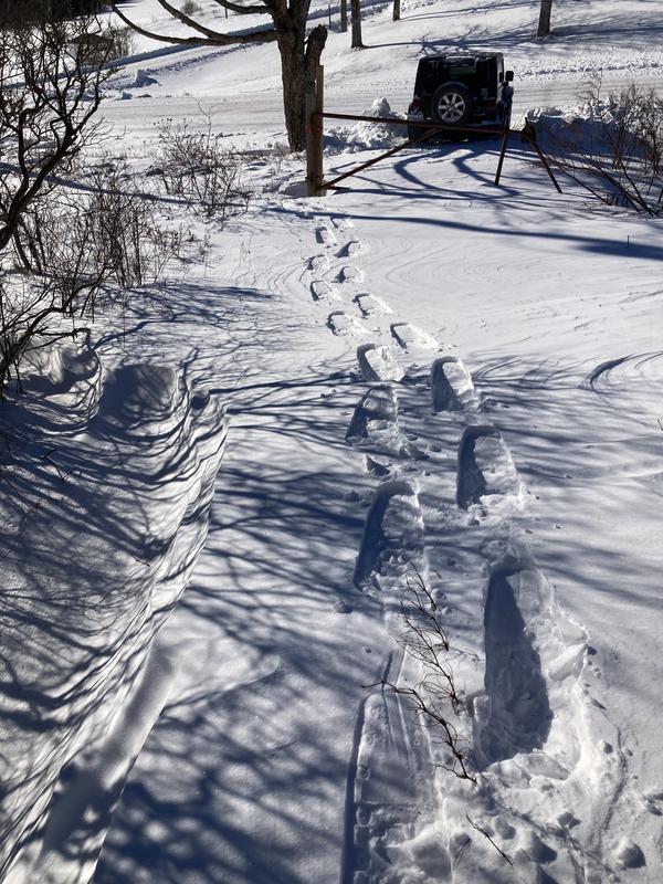 Photo - commentaire&nbsp;5.