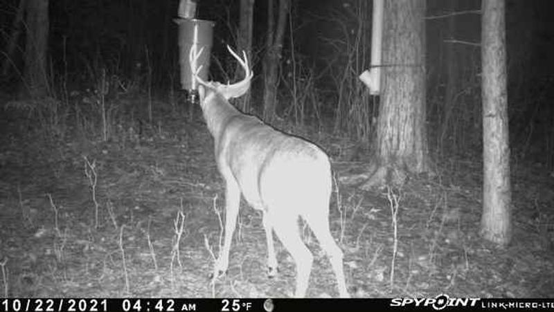 Photo - commentaire 2.