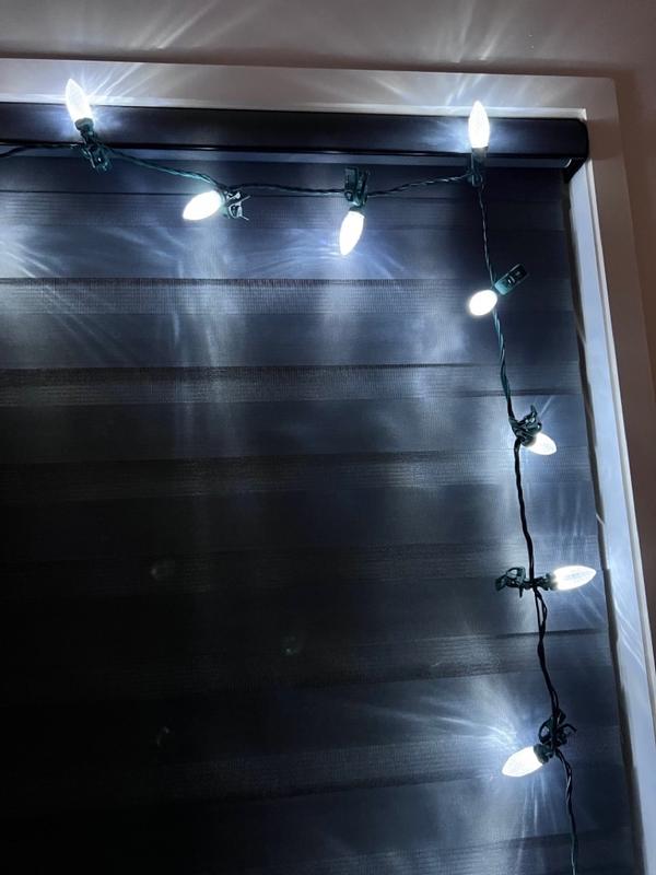 Photo - commentaire 7.