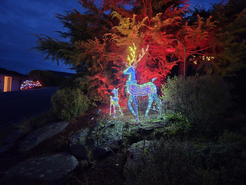 Photo - commentaire 2.