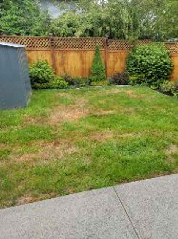 Photo - commentaire 7.