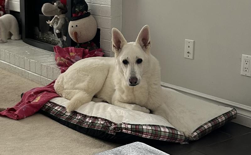 Photo - commentaire&nbsp;6.