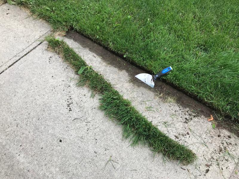 Photo - commentaire 1.