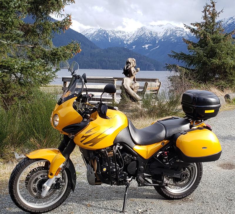 Works great on what ever you apply it to.