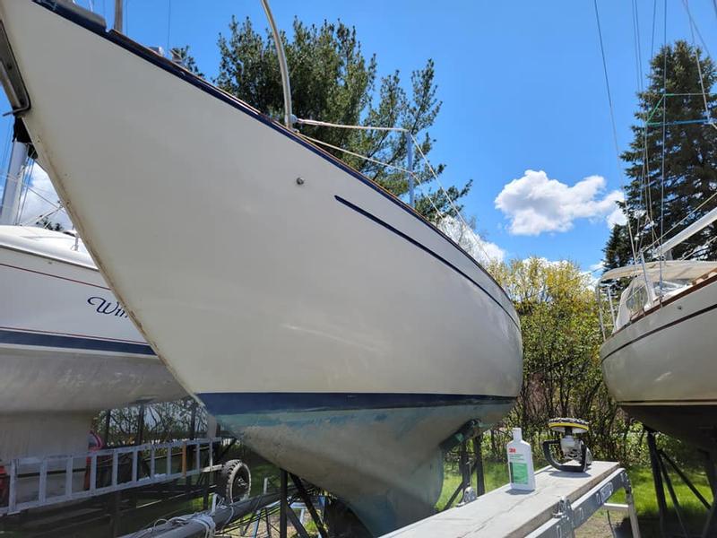 Photo - commentaire&nbsp;2.