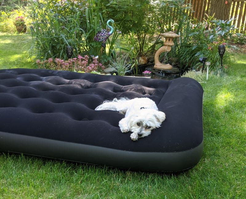 Flipping comfortable!